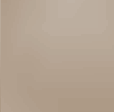 Standard_2D_MNT